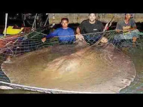 Video: Top SCARIEST Fish in Lakes and Rivers
